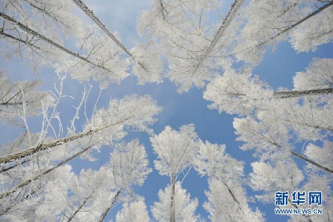 Indahnya Pemandangan Salji di Bashang