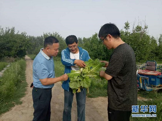 Pegawai Muda Berbakti kepada Pembangunan Xinjiang_fororder_223