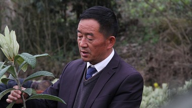 किसान प्रोफेसर फेई चोंगफू
