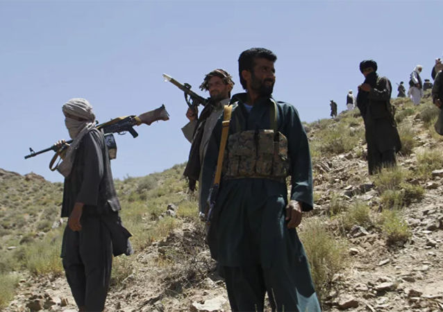 نیروهای امنیتی افغان در 24 ساعت گذشته 572 نفر را کشته و 309 تن از اعضای طالبان را زخمی کردند_fororder_1032874629