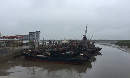 Chinese foreign trade ships, which sail to the North Korean side daily to source seafood products, docked for days at some ports in the Qianyang county, Donggang. [Photo: Global Times/Deng Xiaoci]