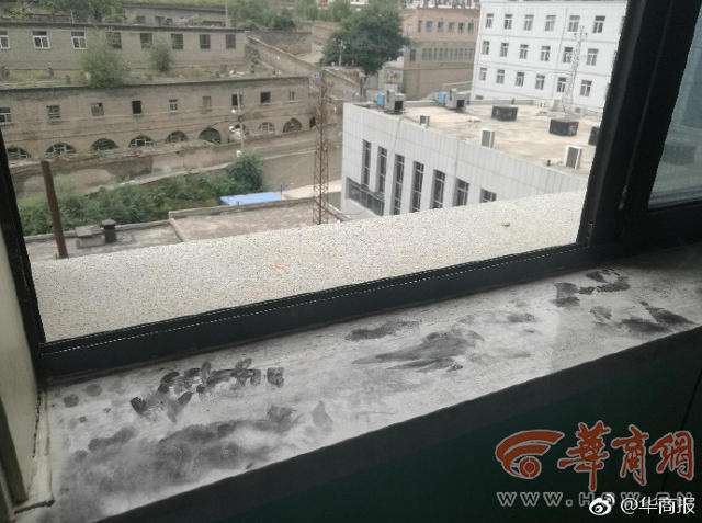 File photo of the window from which Ma jumped. [Photo: hsw.cn]