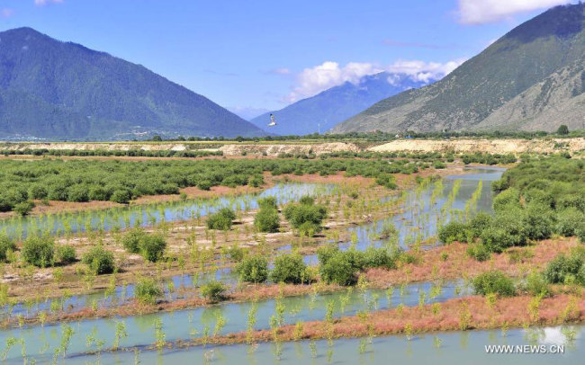Photo taken on August 9, 2015 shows forest reserve belt of Nyang River, southwest China's Tibet Autonomous Region. Local government has adhered to "green development" so as to preserve Tibet's environment in the past decades. [Photo: Xinhua/Liu Kun]
