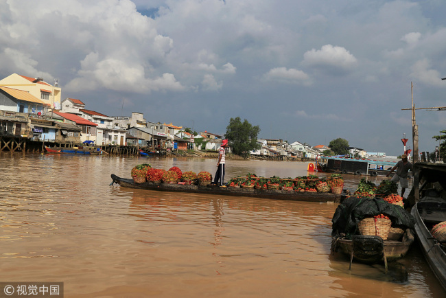 Mekong River in Vietnam [File photo: VCG]