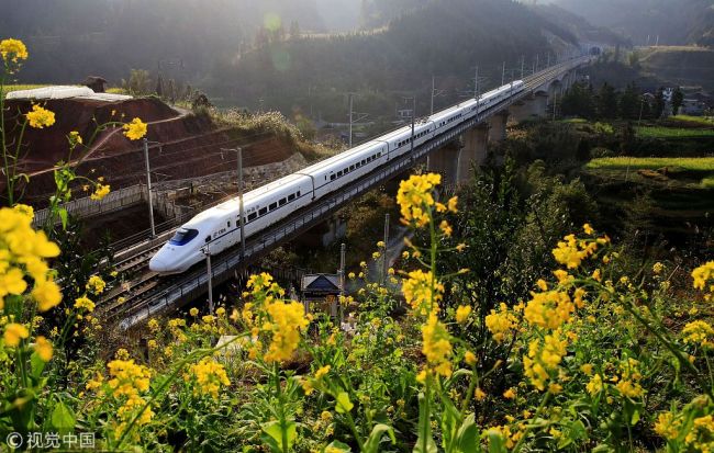 A high-speed train runs by a flower field in Guizhou Province on February 11, 2017. [Photo: VCG]