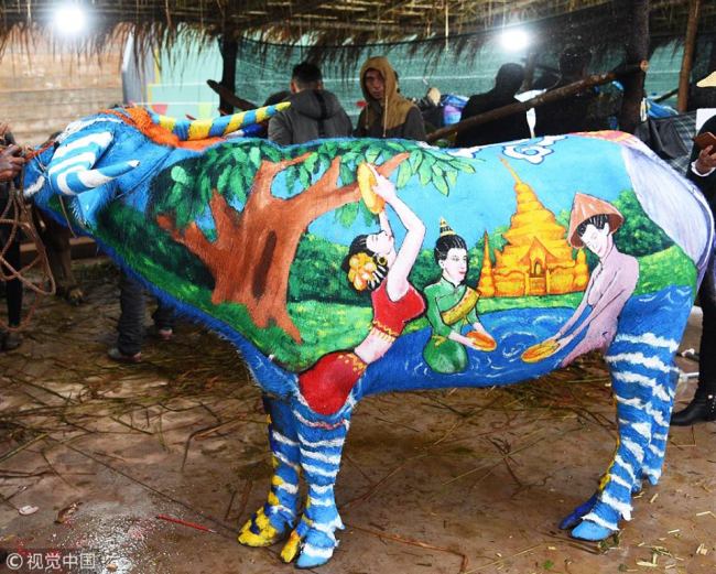 云南举办国际牛体彩绘大赛 China-Laos-Vietnam Bull Painting Festival launched in Yunnan