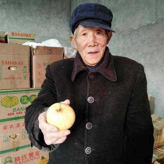 74-year-old pear farmer Zheng Zhilong shows off a pear at his home in Shaanxi Province. [Photo: China Plus]