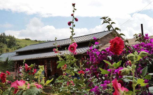Luo Fuhua has turned her home to a homestay accommodation to welcome tourists visiting a Buddhism resort in the region. {Photo: from China Plus}
