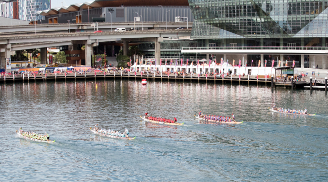 The biggest Dragon Boat race in the southern hemisphere draws more than 3,000 paddlers to Sydney's Darling Harbor as part of the city's Chinese New Year Festival. [Photo: China Plus/Zhang Qizhi]