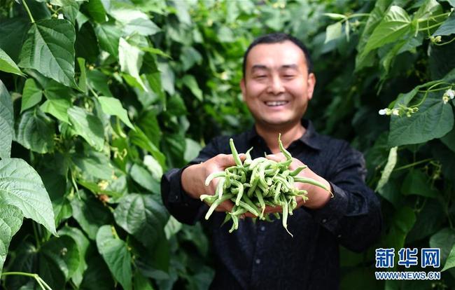 Soil-free growing techniques are used at Jiuquan's Gobi Agricultural Industrial Park in Gansu Province [Photo:Xinhua] 