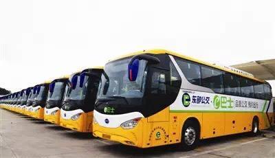 The e-buses wait in line to offer online bus-hailing services. [Photo: thepaper.cn]