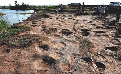 Dinosaur footprints in Tancheng(郯城), Shandong Province [Photo: Beijing News]