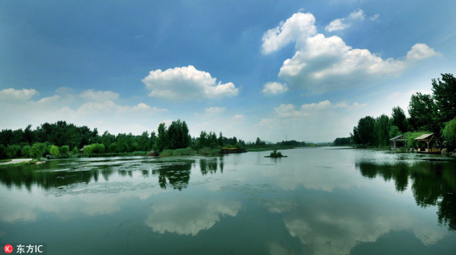 A wetland national park in Zaozhuang, Shandong Province [File photo: IC]