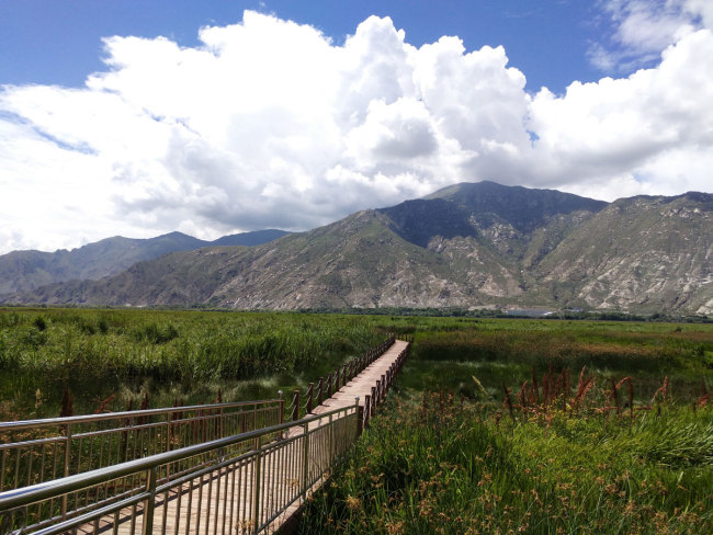 The core protection area of the Lalu Wetlands National Nature Reserve in Lhasa. [Photo: China Plus/Wang Lei]