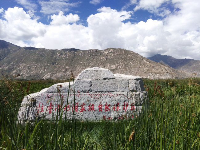 The Lalu Wetlands National Nature Reserve in Lhasa covers 12.2 square kilometers in total. It is the world's highest and largest natural urban wetland. [Photo: China Plus/Wang Lei]