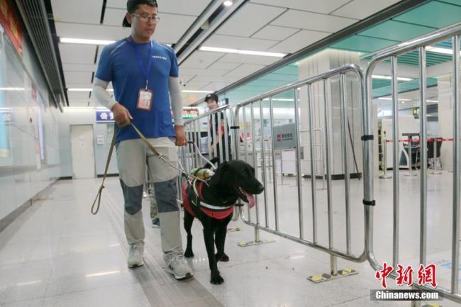 Li Sai trains guide dog "Hei Mei" to take the subway on August 27, 2018, in Xi'an, Shaanxi Province. [Photo: Chinanews.com]