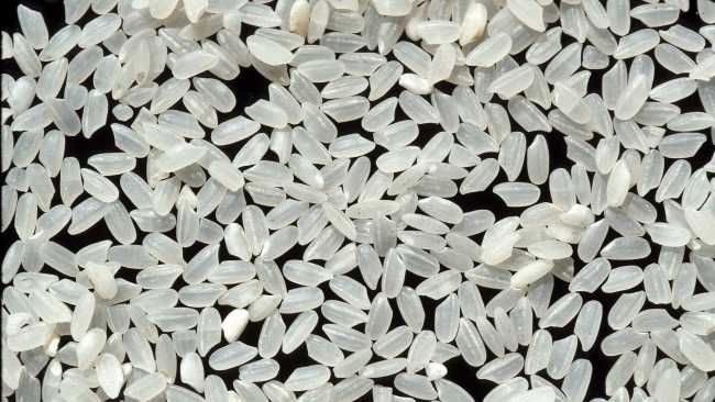 家庭作业让数一亿颗米粒 Students were asked to count 100 million rice grains as homework