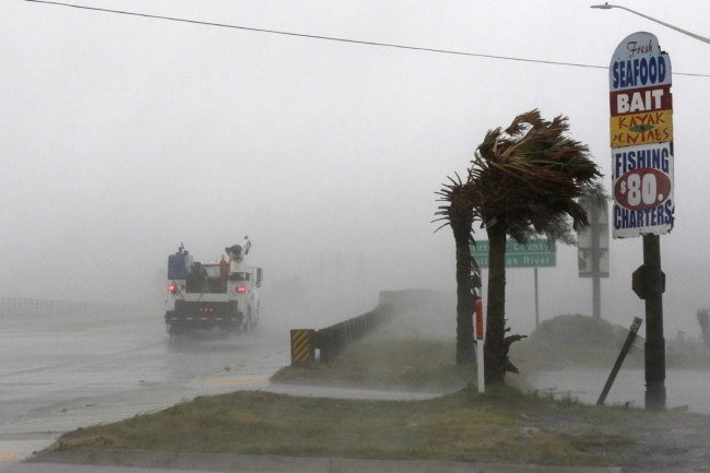 A work truck drives on Hwy 24 as the wind from Hurricane Florence blows palm trees in Swansboro N.C., Thursday, Sept. 13, 2018. [Photo: AP/Tom Copeland]