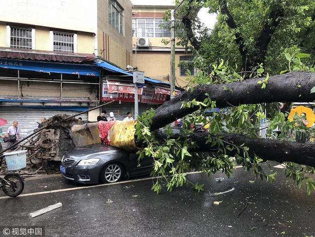 强台风“山竹”横扫广东 Super typhoon Mangkhut wreaks havoc in Guangdong