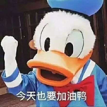"Need to cheer up today(今天也要加油呀)", a duck-themed meme, has become popular on Chinese social media in China. [File photo]
