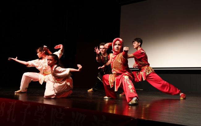 中国功夫在土耳其上演 Chinese Kung Fu show enchants audience at Istanbul university