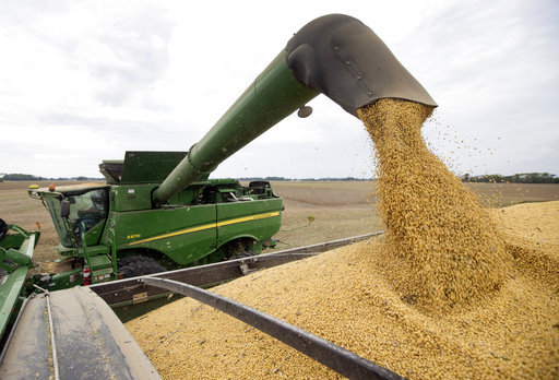 Farmers offloads soybeans from the combine as they harvests crops in Brownsburg, Indiana, U.S. [Photo: AP]