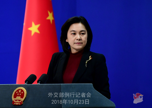 Chinese Foreign Ministry spokesman Hua Chunying [File Photo:Chinese Foreign Ministry]