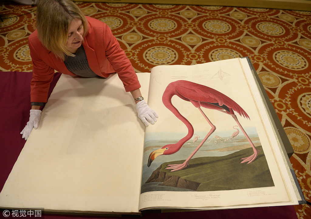 World's Most Expensive Printed Book Makes Rare Appearance - China Plus