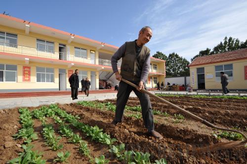 A retired man grows vegetables in a nursing home in Handan, Hebei Province. [File photo: Chinanews.com]