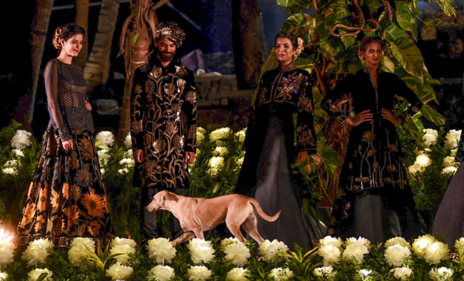 The dog is seen happily wagging its tail in front of models standing on the runway [Photo: AFP]