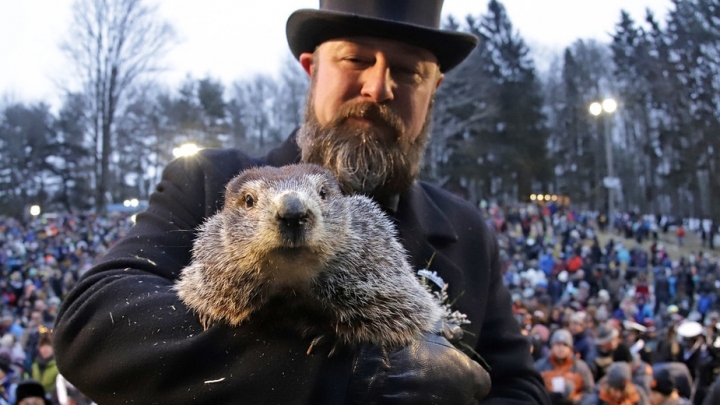 Groundhog doesn't see his shadow, predicting early spring - China Plus