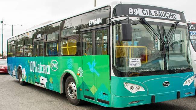 The electric buses in Ecuador are 12 meters long with a passenger capacity of 80. [Photo: BYD]
