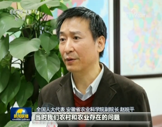 Zhao Wanping, deputy to the National People's Congress and also vice dean of Anhui Academy of Agricultural Sciences, receives an interview from CCTV. [Screenshot: China Plus]