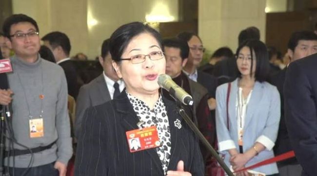 Song Jirong, deputy director of the Palace Museum, also member of the Chinese People's Political Consultative Conference (CPPCC), answers the question from the journalists for the second session of the 13th National Committee of the CPPCC in Beijing on March 3, 2019. [Photo: bjd.com.cn]