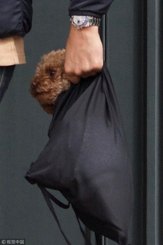 Actor Orlando Bloom was seen carrying his dog with him as he stopped by the Brentwood Country Mart on March 5, 2019. [Photo: VCG]