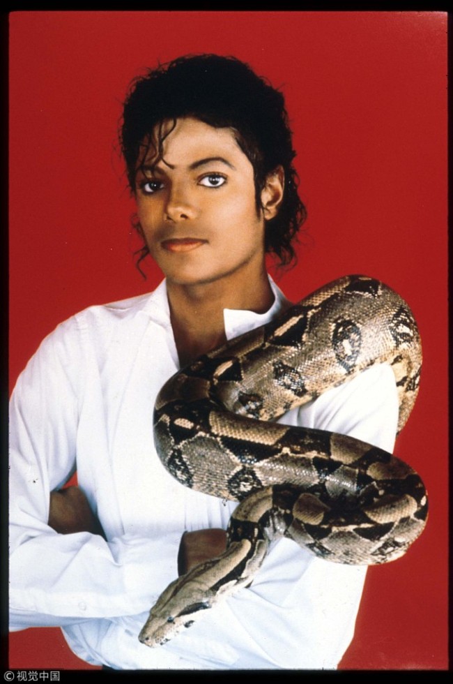 Entertainer Michael Jackson poses with his pet boa constrictor on September 15, 1987 in the USA. [File photo: VCG]