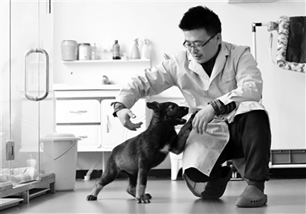 Kunxun is playing with a researcher of the clone project responsible for creating China's first cloned police dog. [Photo: stdaily.com]