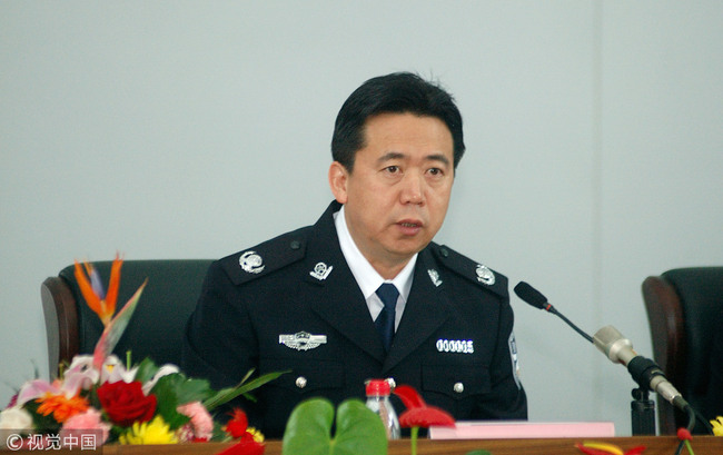 Meng Hongwei, former vice-minister of public security. [File Photo: VCG]