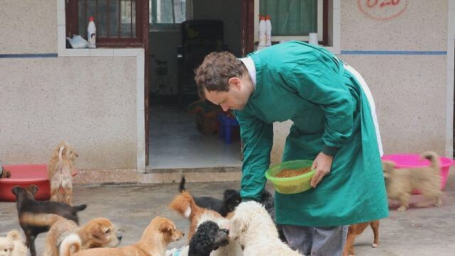 British teacher George James is feeding the dogs he rescued at the George's Shelter in the suburban district of Hefei, Anhui Province, in March, 2019. [Photo: Xinhua]