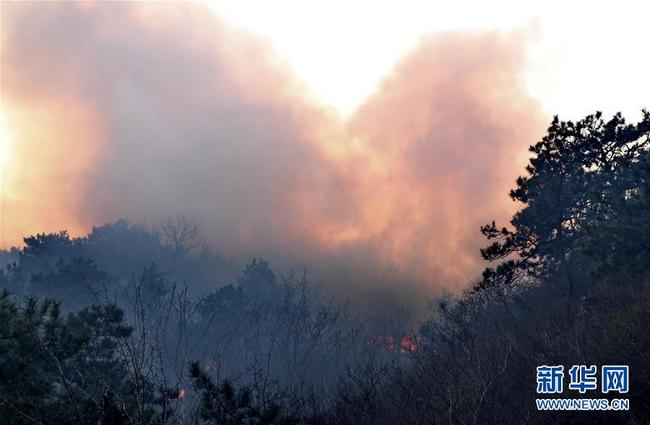 The fire spread to Yaji Mountain in Pinggu District from Miyun District on Beijing's northern outskirts at around noon on Saturday. [Photo: Xinhua]