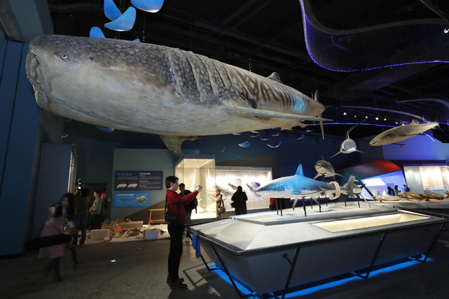 Photo taken on April 2nd, 2019, shows an interior view of China's first national maritime museum. [Photo: IC] 