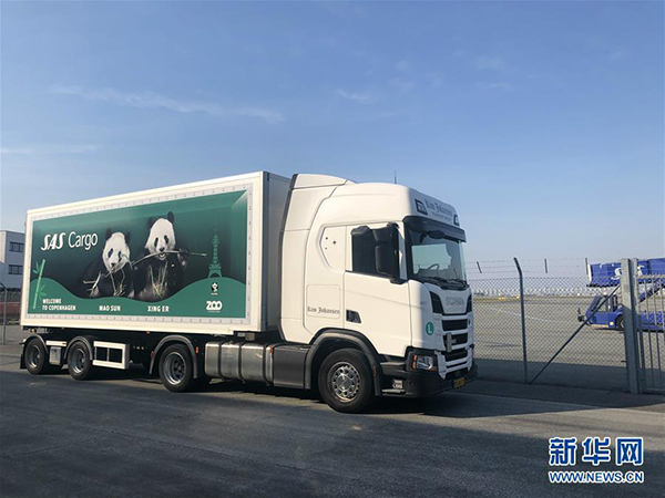 The enclosures carrying the Giant pandas Xing Er and Mao Sun on their way to their new home at Copenhagen Zoo in Denmark on Thursday, April 4, 2019. [Photo: Xinhua]