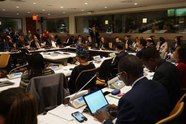 Around 200 participants from UN organizations and UN member countries attend the high-level meeting on "Juncao Technology: Concrete Contribution of the Belt and Road Initiative towards Synergies with the 2030 Agenda for Sustainable Development" at the UN headquarters in New York, on April 18, 2019. [China Plus/Qian Shanming]