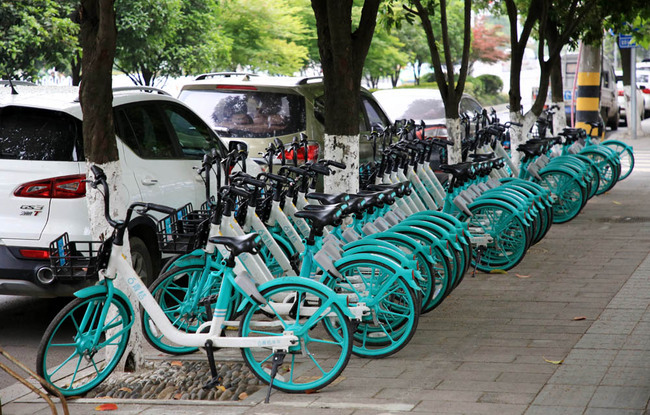 Shared bikes park on the roadside in Xiangyang City, Hubei Province, April 26, 2019. [Photo: IC]