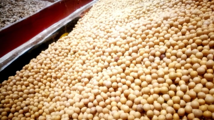 China Expands Soybean Plantation Area To Cut Dependence On Imports ...