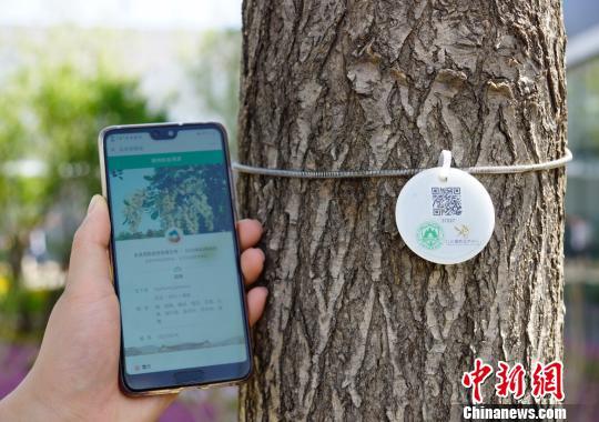 Imported plants at the Beijing International Horticultural Exhibition have been tagged with ID cards, seen here on May 29, 2019. Visitors can scan the unique QR on each tag using their phone to see a plant's history and quarantine information. [Photo: Chinanews.com]<br/><br/>