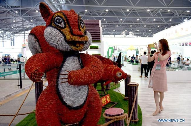 A visitor takes photos(拍照 pāizhà) of cartoon animals made by wheat straw at an expo in Hefei, capital of east China's Anhui Province, June 17, 2019.[Photo: Xinhua]