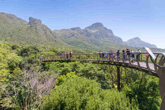 A view of the Centenary Tree Canopy Walkway at the Kirstenbosch Botanical Gardens in Cape Town, South Africa. [File photo: IC]