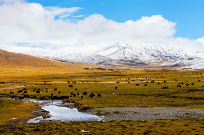 A landscape view of Yushu Tibetan Autonomous Prefecture of Qinghai. [File Photo: IC]