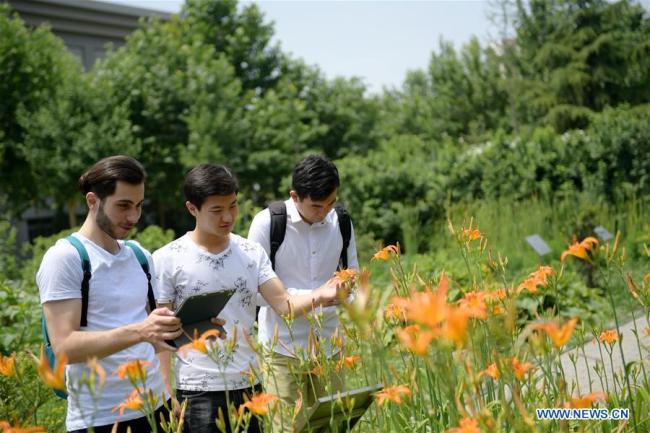 Aushev Djamaleil (1st L) observes herbal plants(草药 cǎoyào) in Shaanxi University of Chinese Medicine in northwest China's Shaanxi Province. [Photo: Xinhua] 